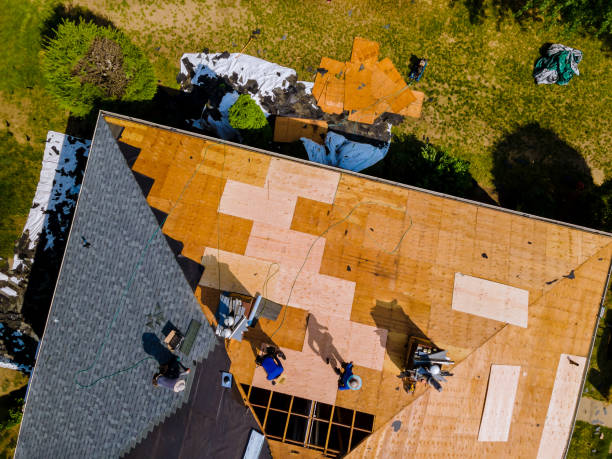 Best Roof Repair Services  in Rutledge, GA